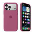 iPhone Silicone Case (Dragon Fruit)
